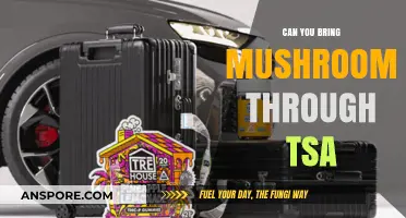 Can You Bring Mushrooms Through TSA? A Traveler's Guide