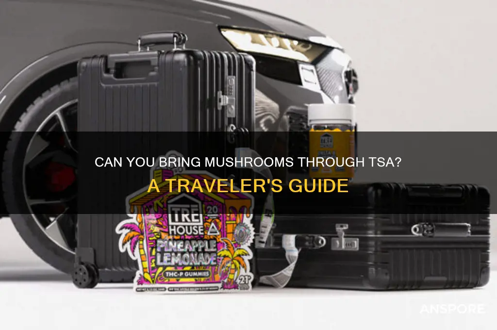 can you bring mushrooms through tsa