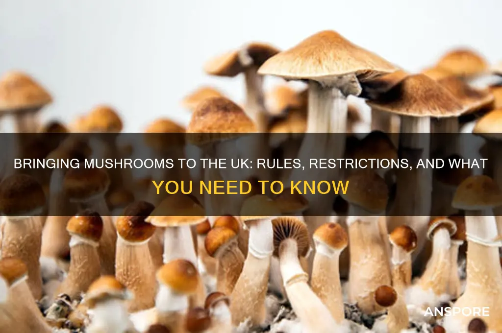 can you bring mushrooms to uk