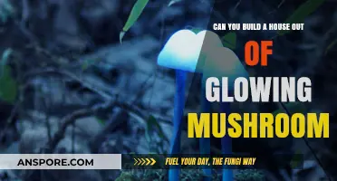 Glowing Mushroom Homes: The Future of Sustainable, Bioluminescent Housing?