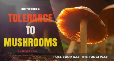 Developing Tolerance to Psilocybin Mushrooms: Fact or Fiction?