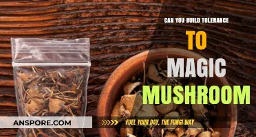Building Tolerance to Magic Mushrooms: What You Need to Know