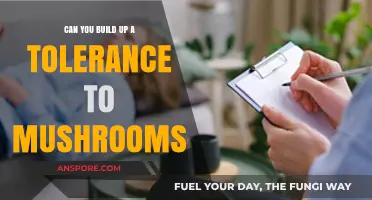 Developing Tolerance to Psilocybin Mushrooms: Facts, Risks, and Considerations