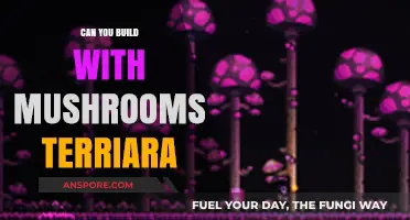 Building with Mushrooms: Exploring Sustainable Terriara Construction Techniques