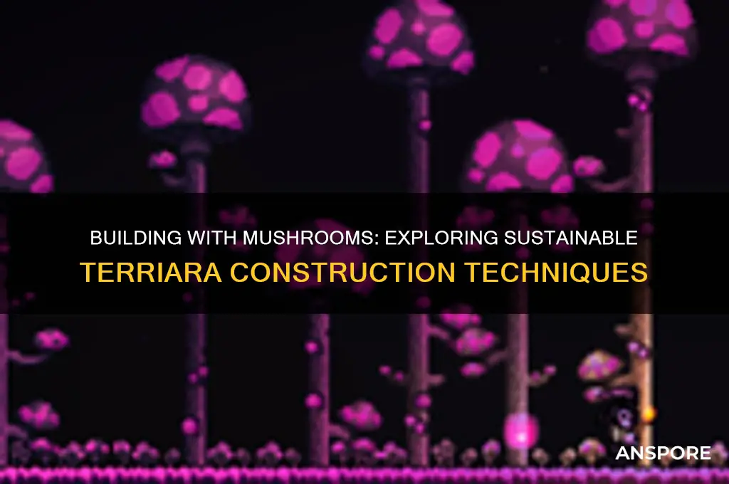 can you build with mushrooms terriara