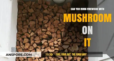 Burning Mushroom-Infested Firewood: Safety Risks and Best Practices Explained