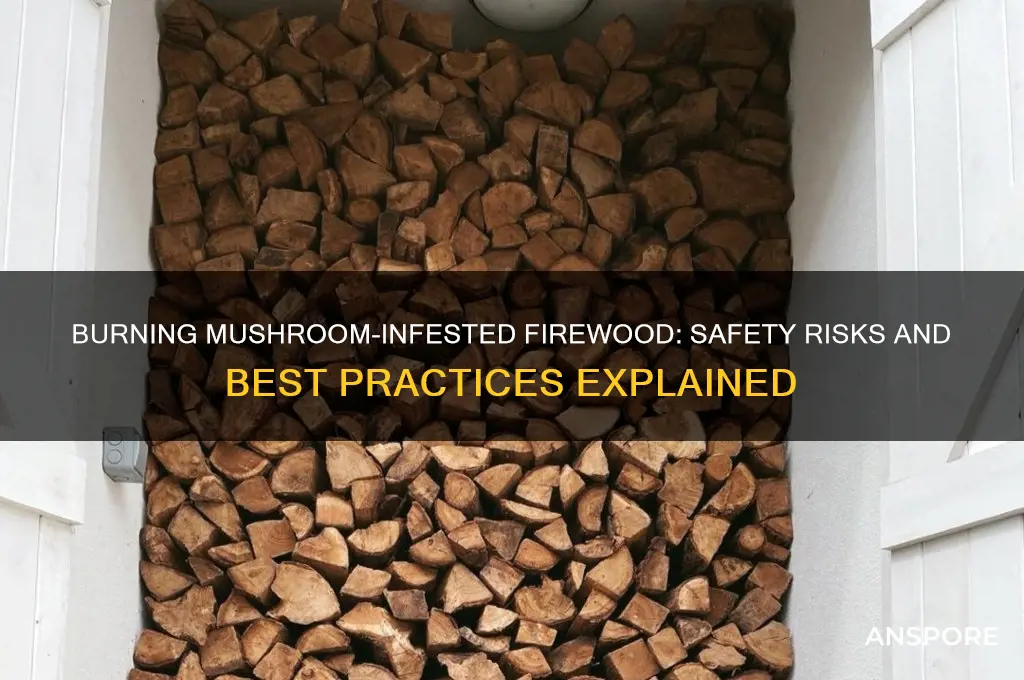 can you burn firewood with mushrooms on it