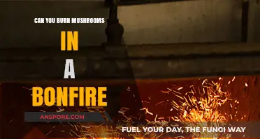 Bonfire Mushroom Burning: Safe Practice or Risky Experiment?