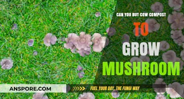 Using Cow Compost for Mushroom Cultivation: Benefits and Best Practices