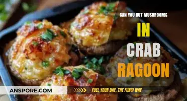 Can You Add Mushrooms to Crab Rangoon? A Tasty Twist