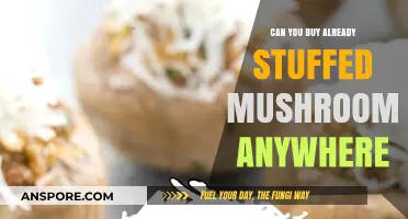 Where to Find Pre-Stuffed Mushrooms: A Tasty Convenience Guide