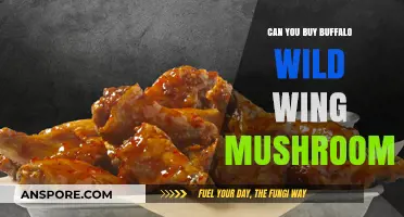 Where to Buy Buffalo Wild Wings' Famous Mushrooms: A Guide