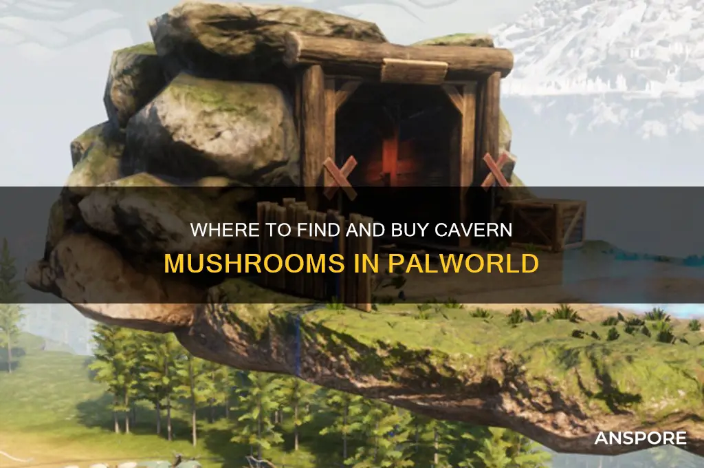 can you buy cavern mushrooms palworld