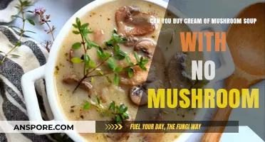 Mushroom-Free Cream of Mushroom Soup: Is It Possible to Buy?