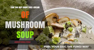 Dairy-Free Cream of Mushroom Soup: Where to Buy and How