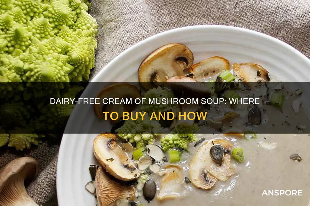 can you buy dairy free cream of mushroom soup