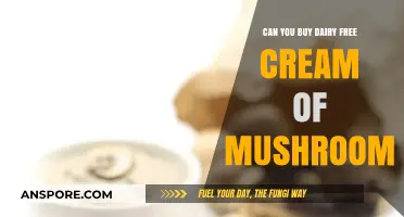 Dairy-Free Cream of Mushroom: Where to Buy and How to Enjoy