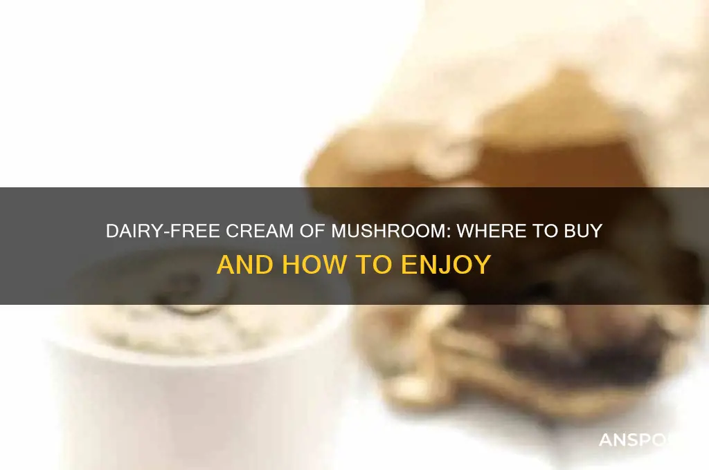 can you buy dairy free cream of mushroom