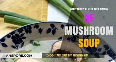 Gluten-Free Cream of Mushroom Soup: Where to Buy and How
