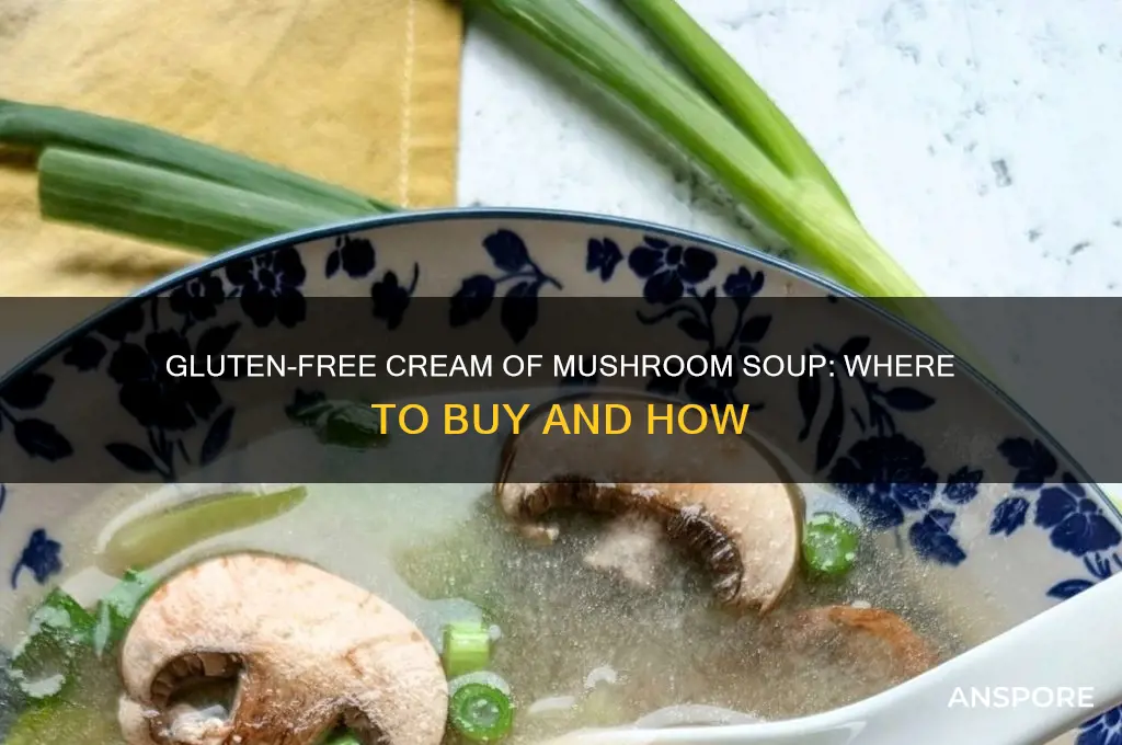 can you buy gluten free cream of mushroom soup