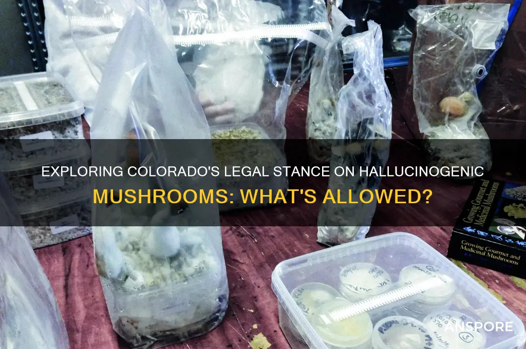 can you buy hallucinogenic mushrooms in colorado