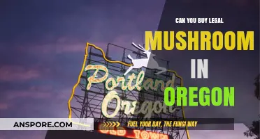 Legal Psilocybin Mushrooms in Oregon: What You Need to Know