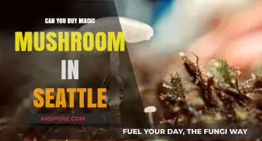 Exploring Seattle's Magic Mushroom Market: Legalities and Availability