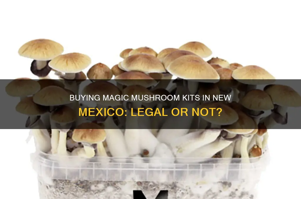 can you buy magic mushroom kits in new mexico