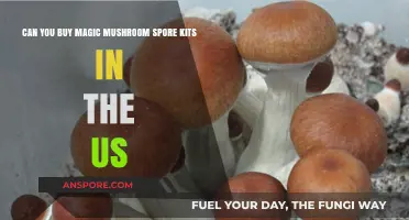 Buying Magic Mushroom Spore Kits in the US: Legal or Not?