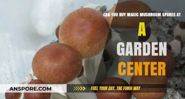 Can You Buy Magic Mushroom Spores at Garden Centers?