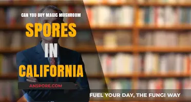 Buying Magic Mushroom Spores in California: Legal or Not?