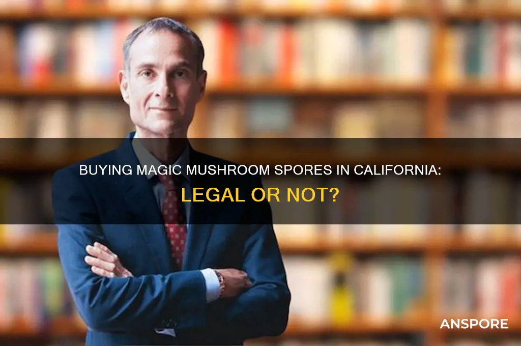 can you buy magic mushroom spores in california