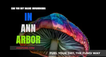 Where to Find Magic Mushrooms in Ann Arbor: Legal Insights
