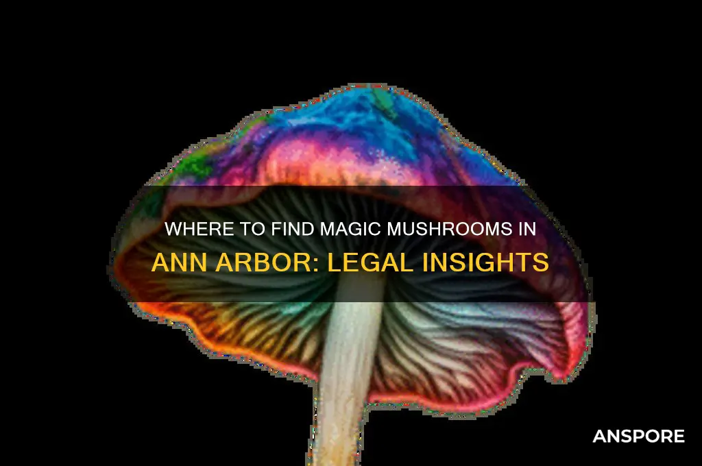 can you buy magic mushrooms in ann arbor