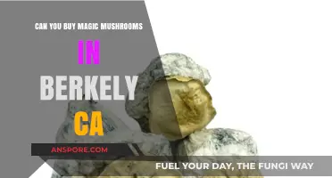 Buying Magic Mushrooms in Berkeley, CA: Legalities and Local Insights