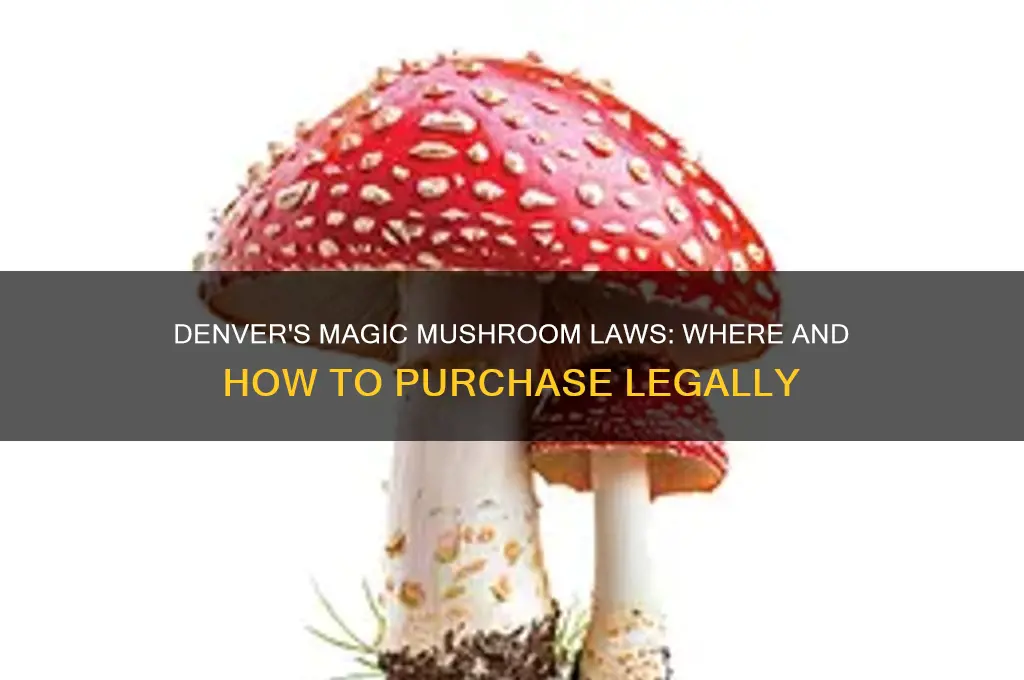 can you buy magic mushrooms in denver