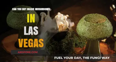 Exploring Las Vegas: Are Magic Mushrooms Legally Available for Purchase?