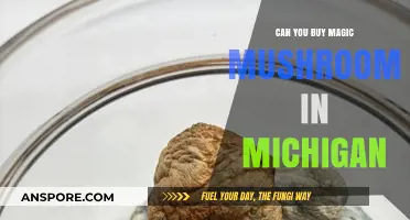 Exploring Michigan's Laws: Are Magic Mushrooms Legal to Purchase?