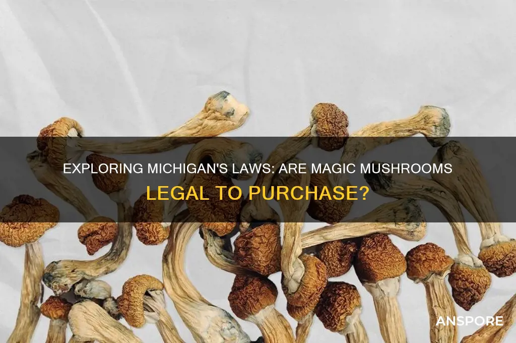 can you buy magic mushrooms in michigan