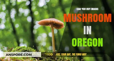 Oregon's Magic Mushroom Laws: Where and How to Purchase Legally