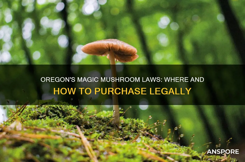 can you buy magic mushrooms in oregon