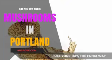 Where to Buy Magic Mushrooms in Portland: Legal Insights & Options