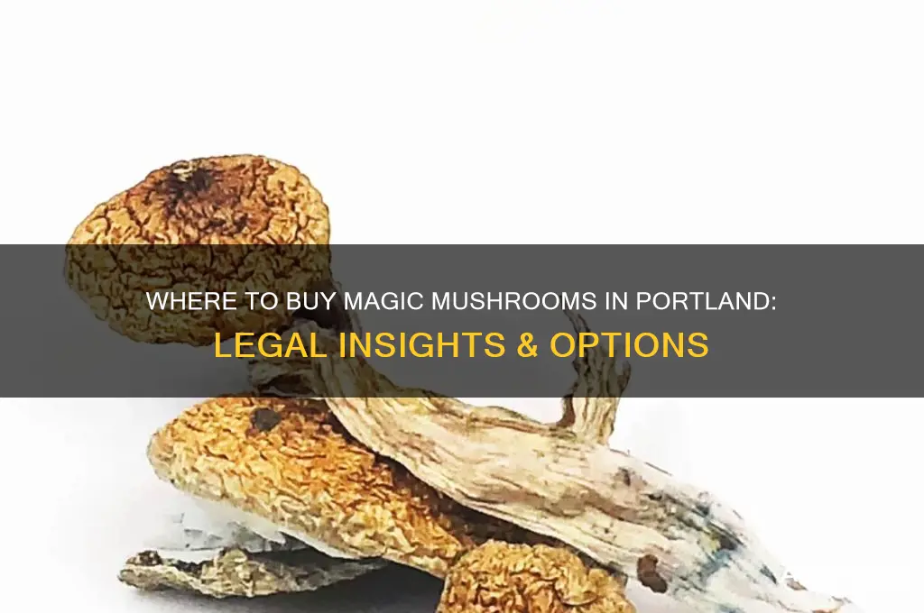 can you buy magic mushrooms in portland