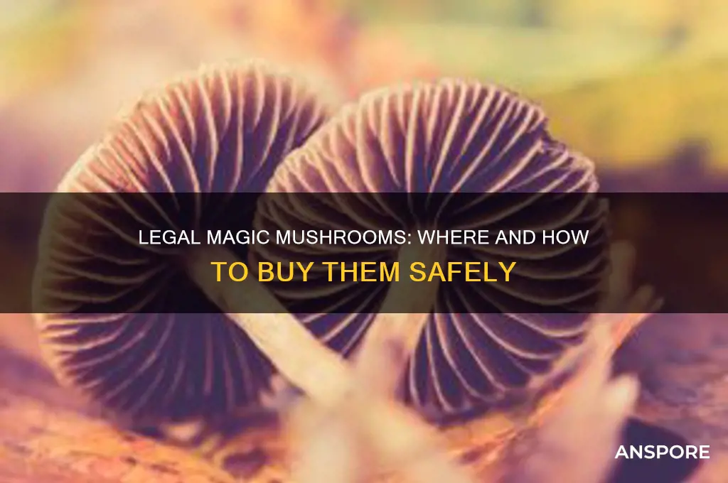 can you buy magic mushrooms legally