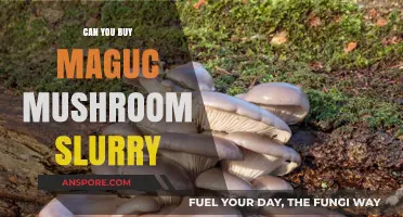 Exploring the Legality and Availability of Magic Mushroom Slurry Purchases