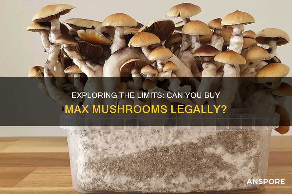 can you buy max mushrooms