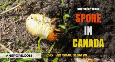 Where to Buy Milky Spore in Canada: A Comprehensive Guide