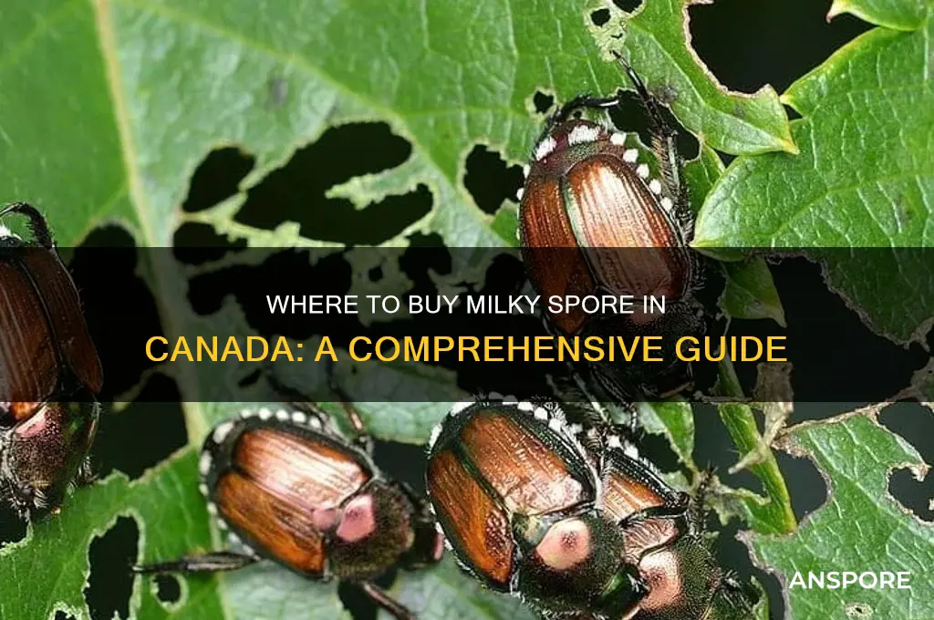 can you buy milky spore in canada