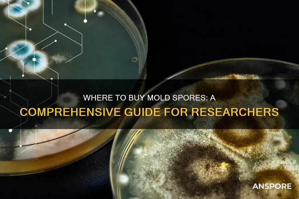 can you buy mold spores