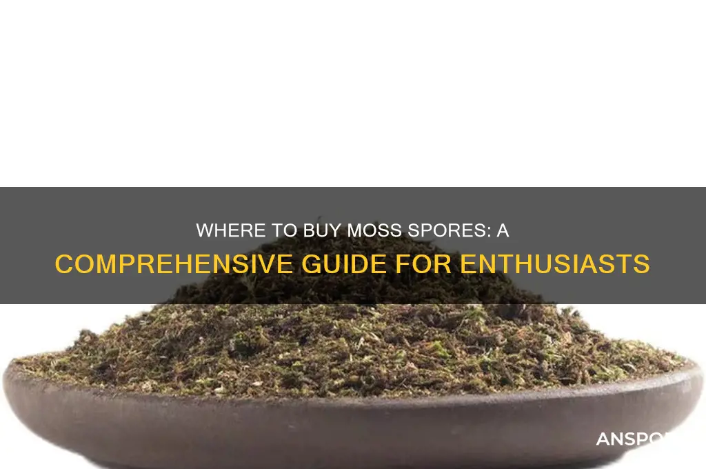 can you buy moss spores